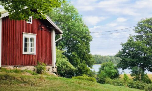 49aad955-009d-47e8-8662-cc9c8abf0415 49aad955-009d-47e8-8662-cc9c8abf0415