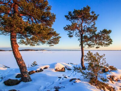 WINTER HOLIDAY 13 Feb - 1 March